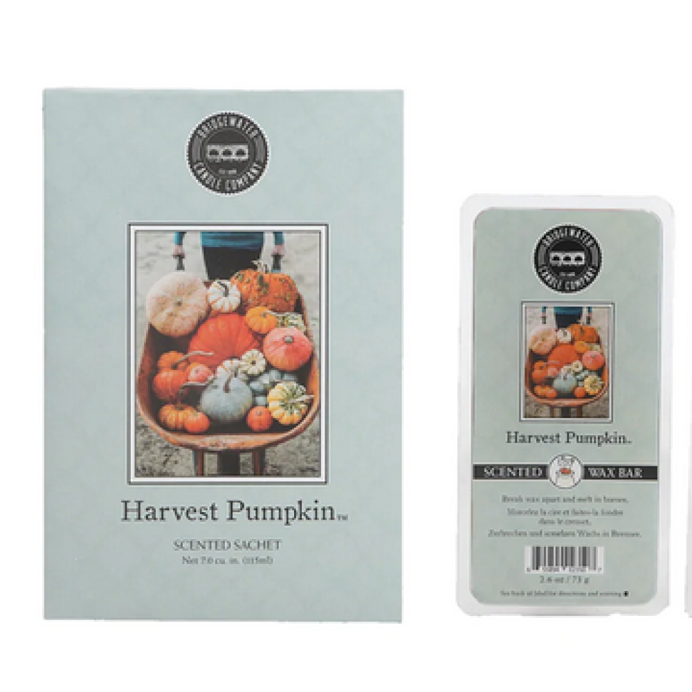 Bridgewater Candle Company Bundel Harvest Pumpkin
